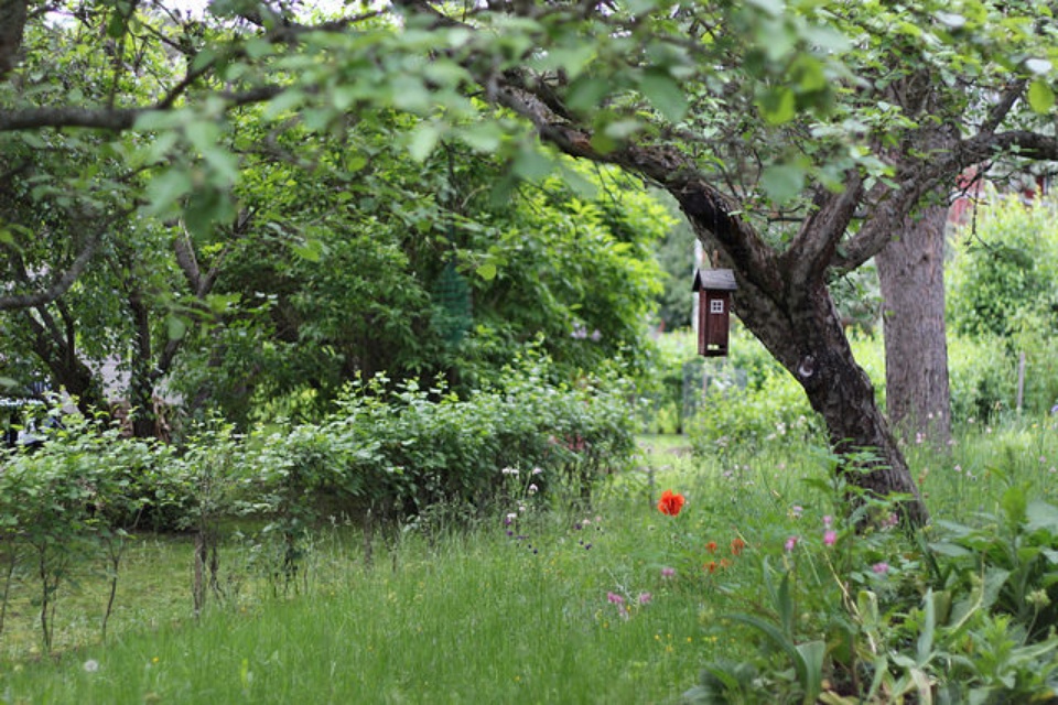 Birdhouse in Hämeenlinna