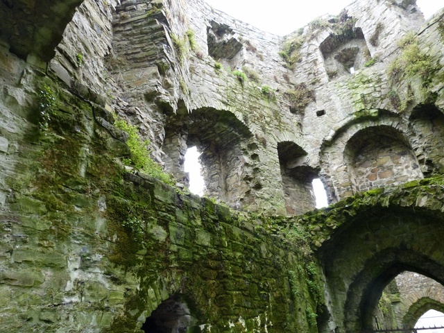 Trim Castle