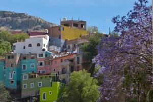 Guanajuato colorful houses