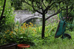 Our backyard in Ljubljana
