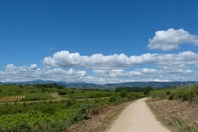 Camino de Santiago