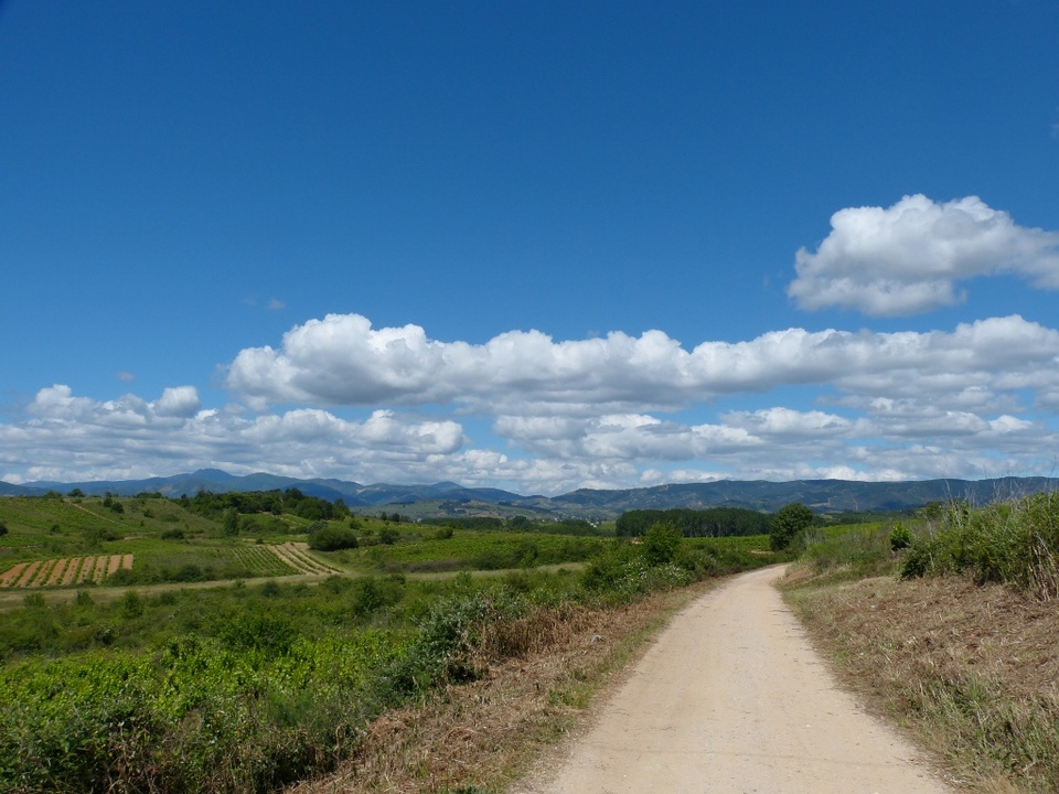 Camino de Santiago