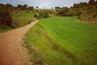 Camino de Santiago