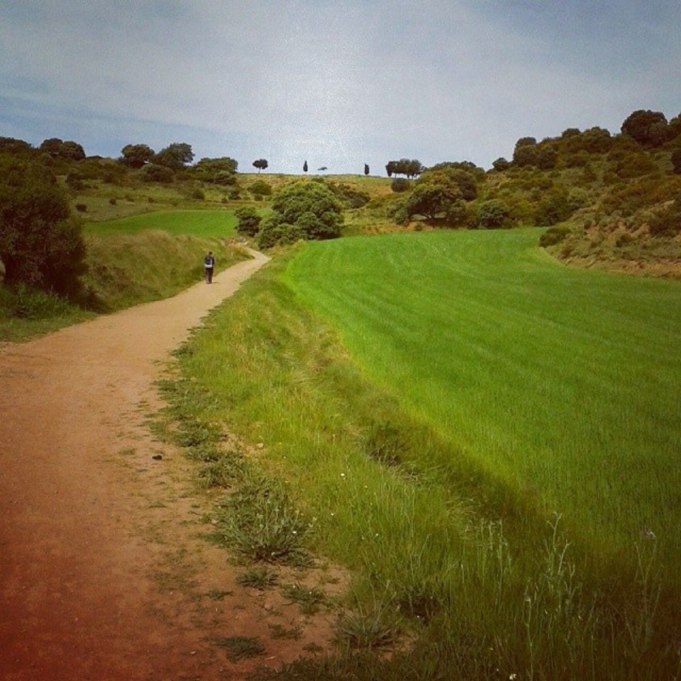 Camino de Santiago