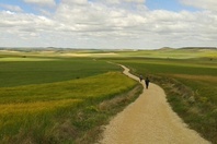 On The way, Camino de Santiago