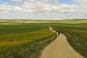 On The way, Camino de Santiago