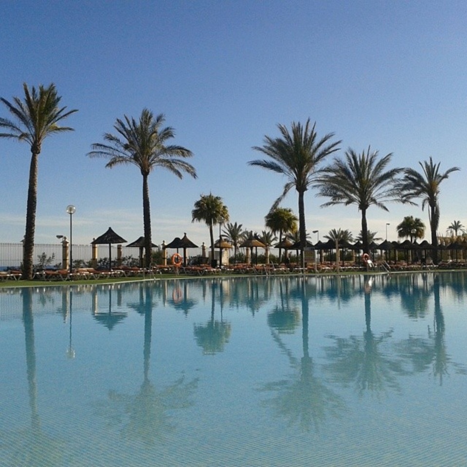 Pool and palm trees, Costa del Sol