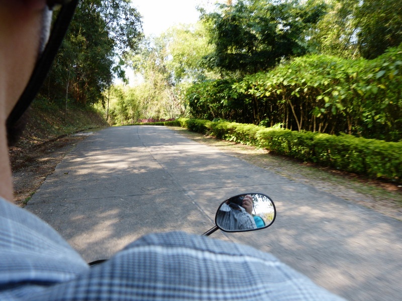 on the scooter