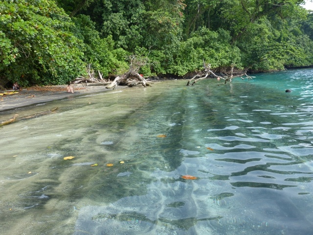 Beach at Krakatau